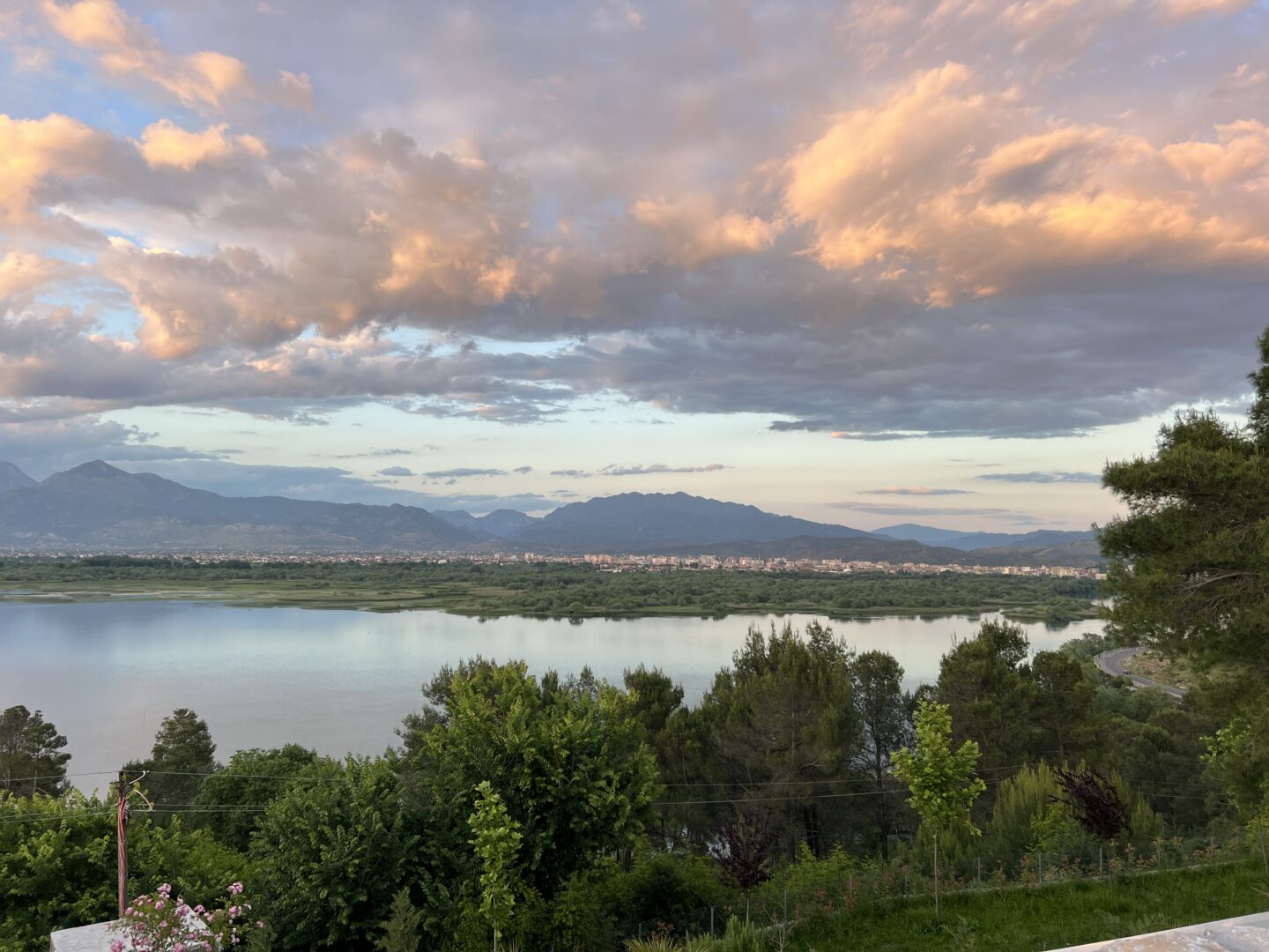 The Wandering Quinn Travel Blog how to get from Montenegro to Albania, view of Lake Shkodar 