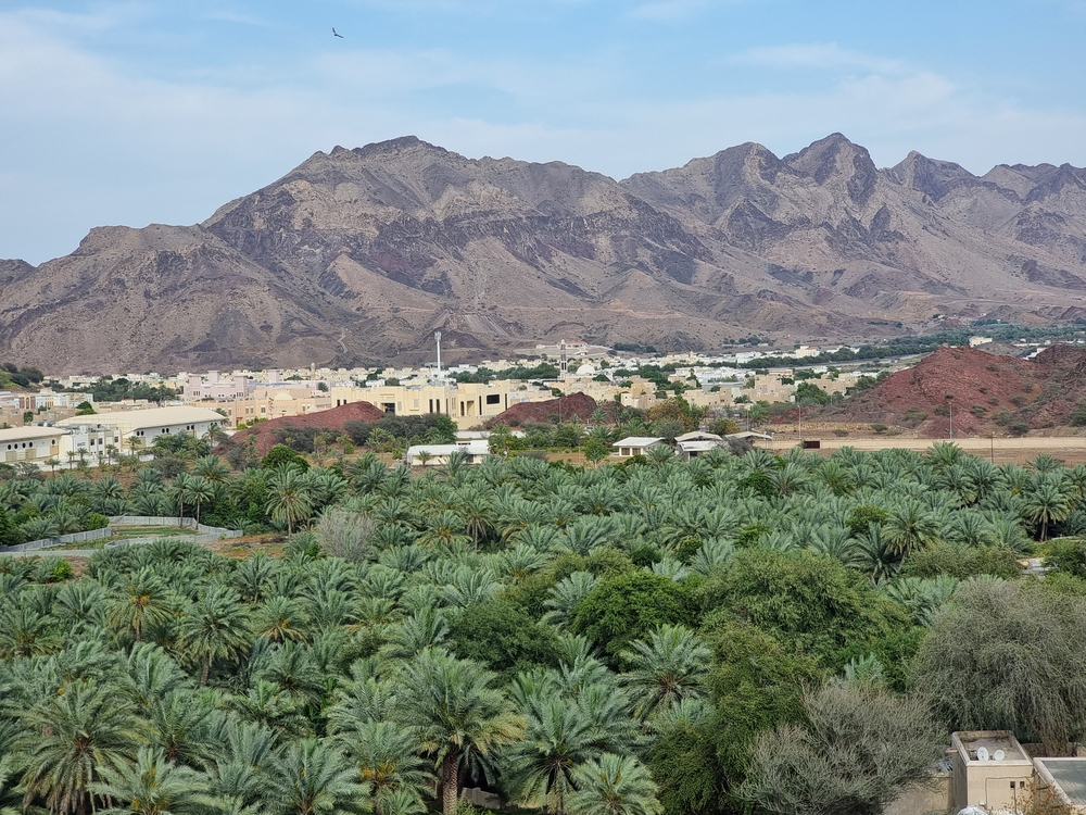 The Wandering Quinn Travel Blog things to do in hatta, hatta village and date farm