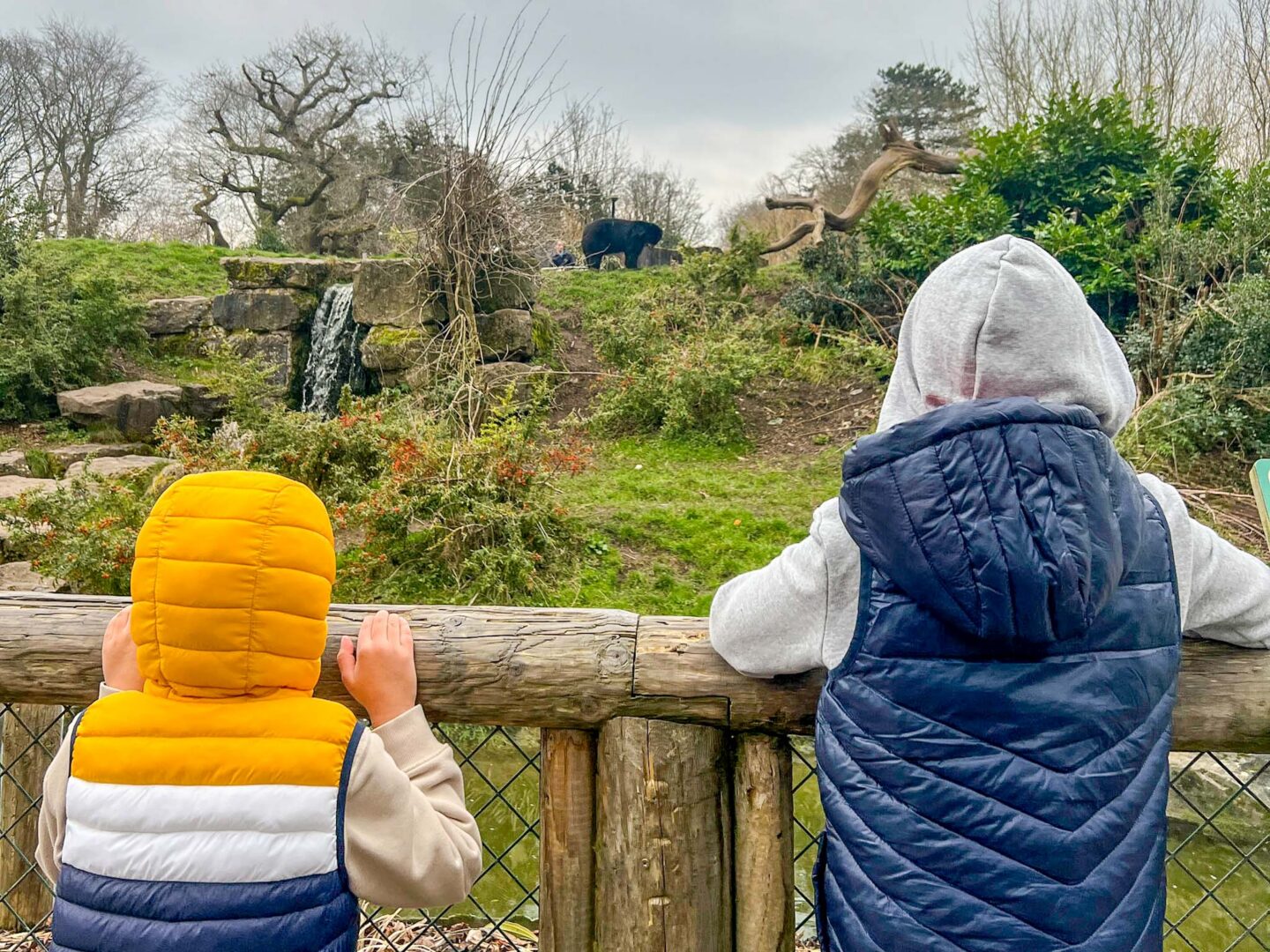 Family days out Cheshire, boys at Cheshire zoo in hoods