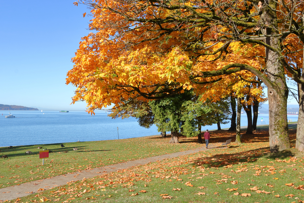 best places to visit in North America in October, Stanley park in Vancouver in autumn