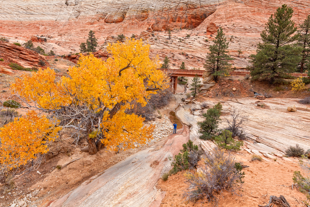 best places to visit in North America in October, Zion National Park in Autumn