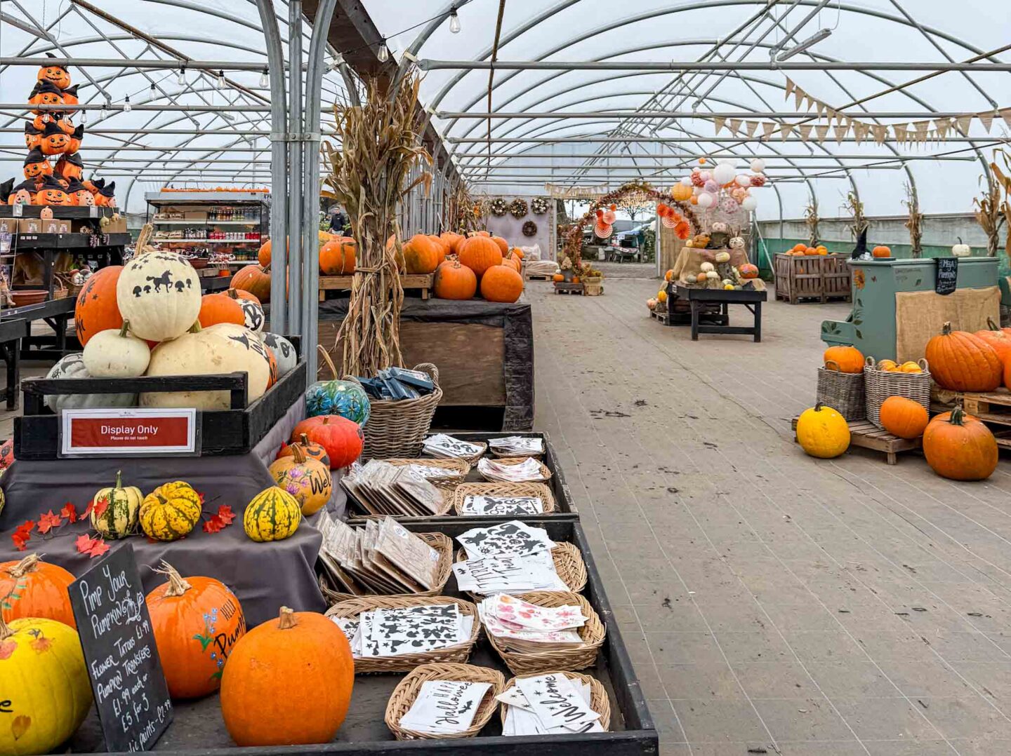 Family days out Cheshire, Kenyon Hall Farm halloween setup