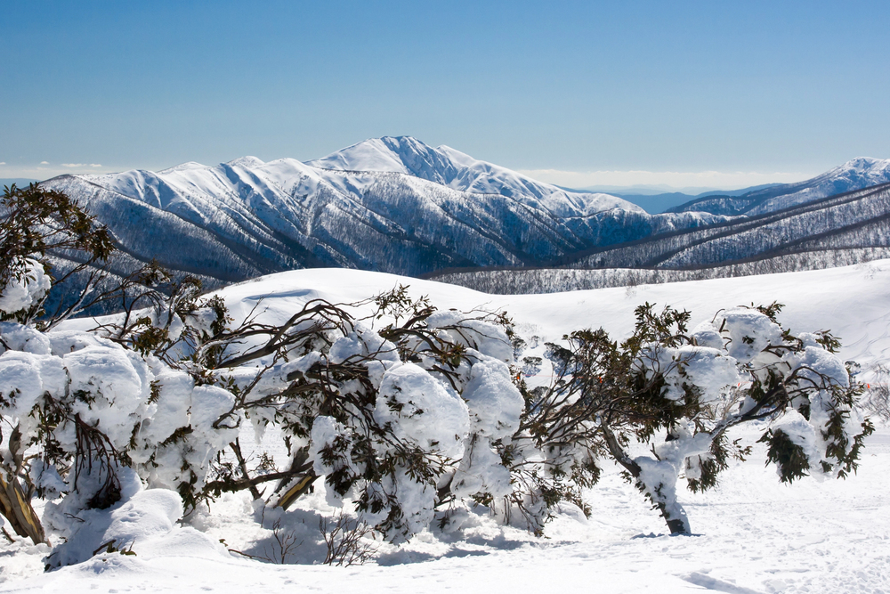 Australia winter destinations, snow in Australia