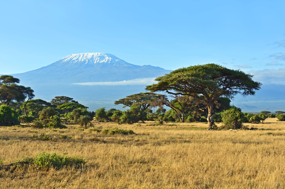 Kenya plains view, best countries to visit in December,