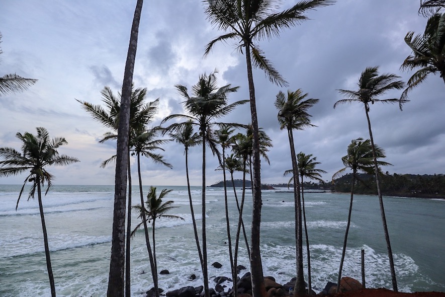 palm trees at Mirissa beach Sri Lanka, best places to visit in Asia in November,