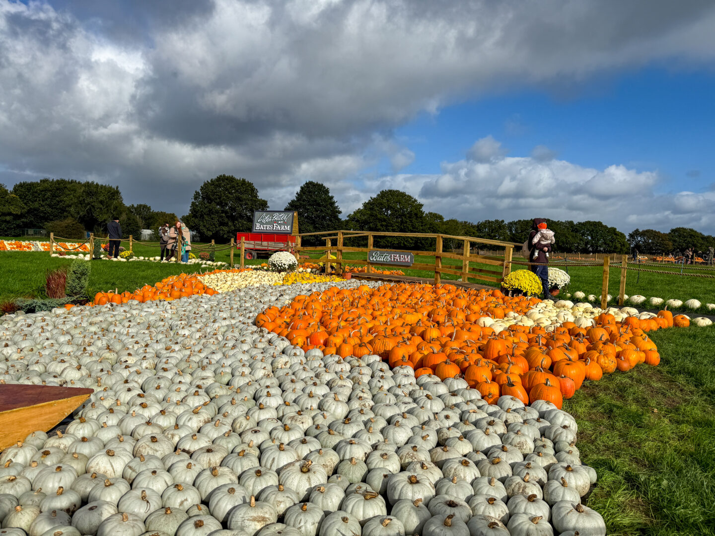 Bates farm Warrington pumpkin display outside, pumpkin patches near manchester,