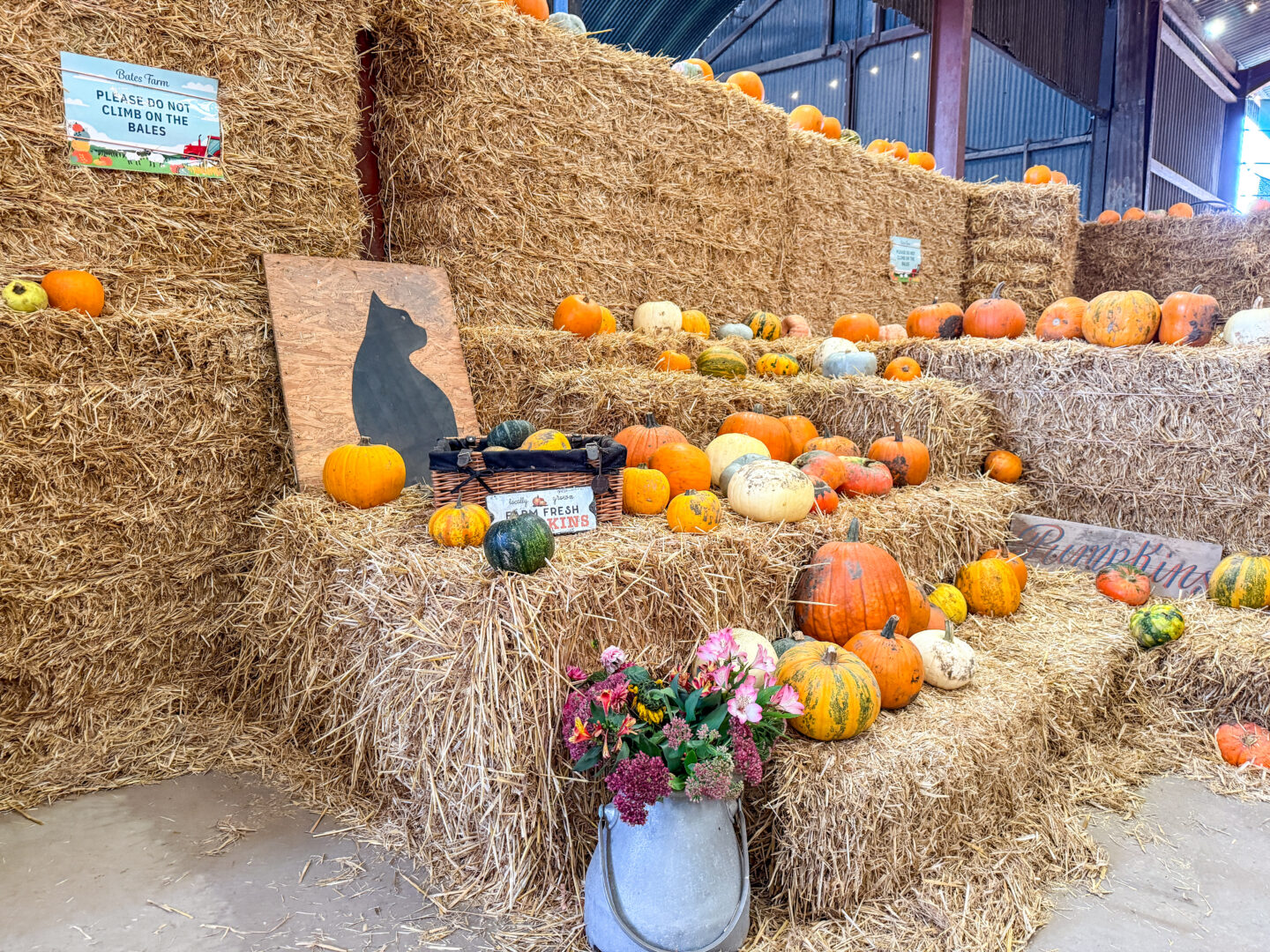 inside area of bates farm Warrington, pumpkin patches near manchester,