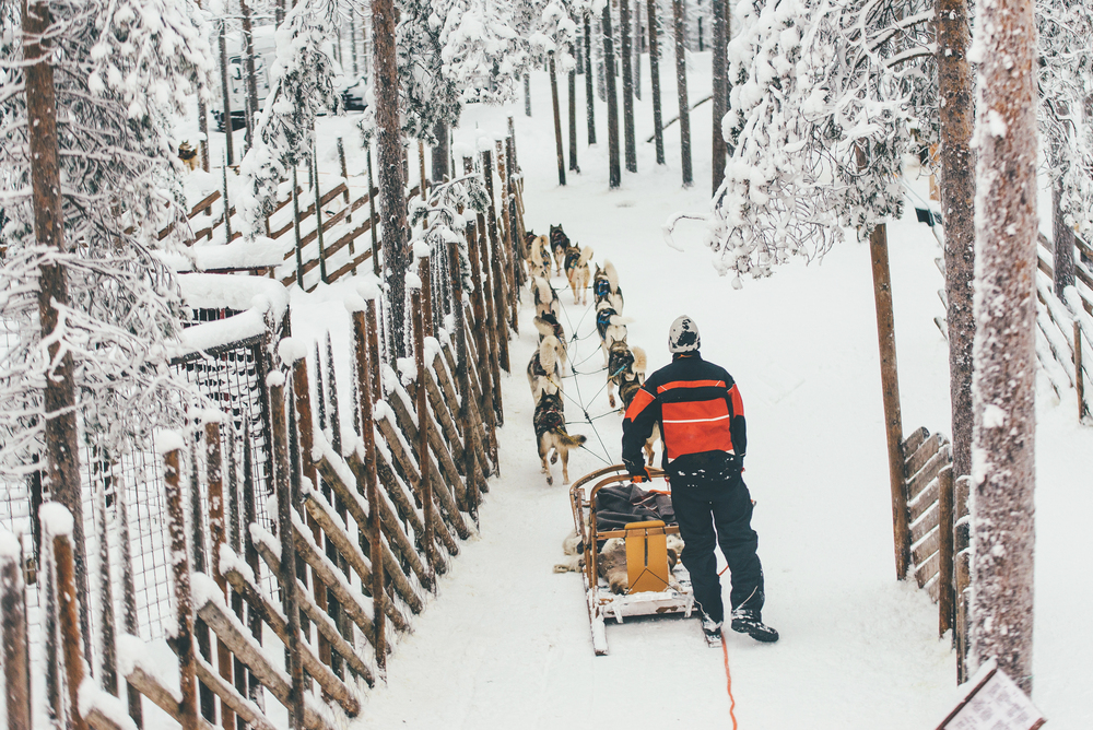 husky sledging in Finland, best countries to visit in February
