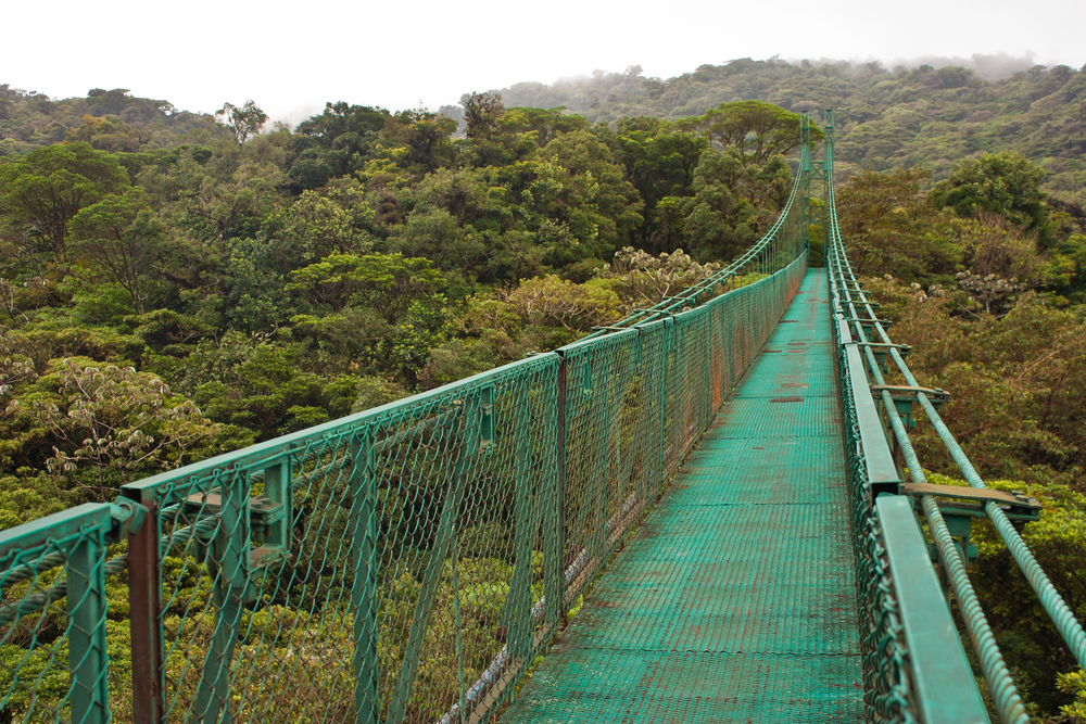 cloud forest of Monteverde, best countries to visit in February