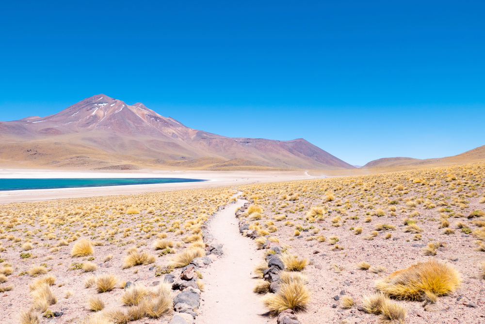 lake in Atacama Desert Chile, best countries to visit in January,