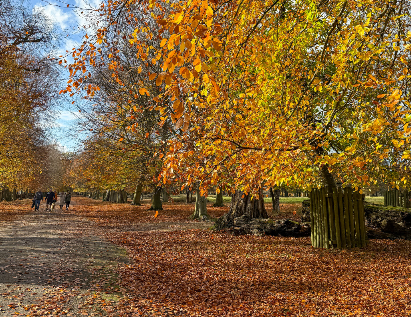 Dunham Massey with autumn colours, things to do in Manchester October half term