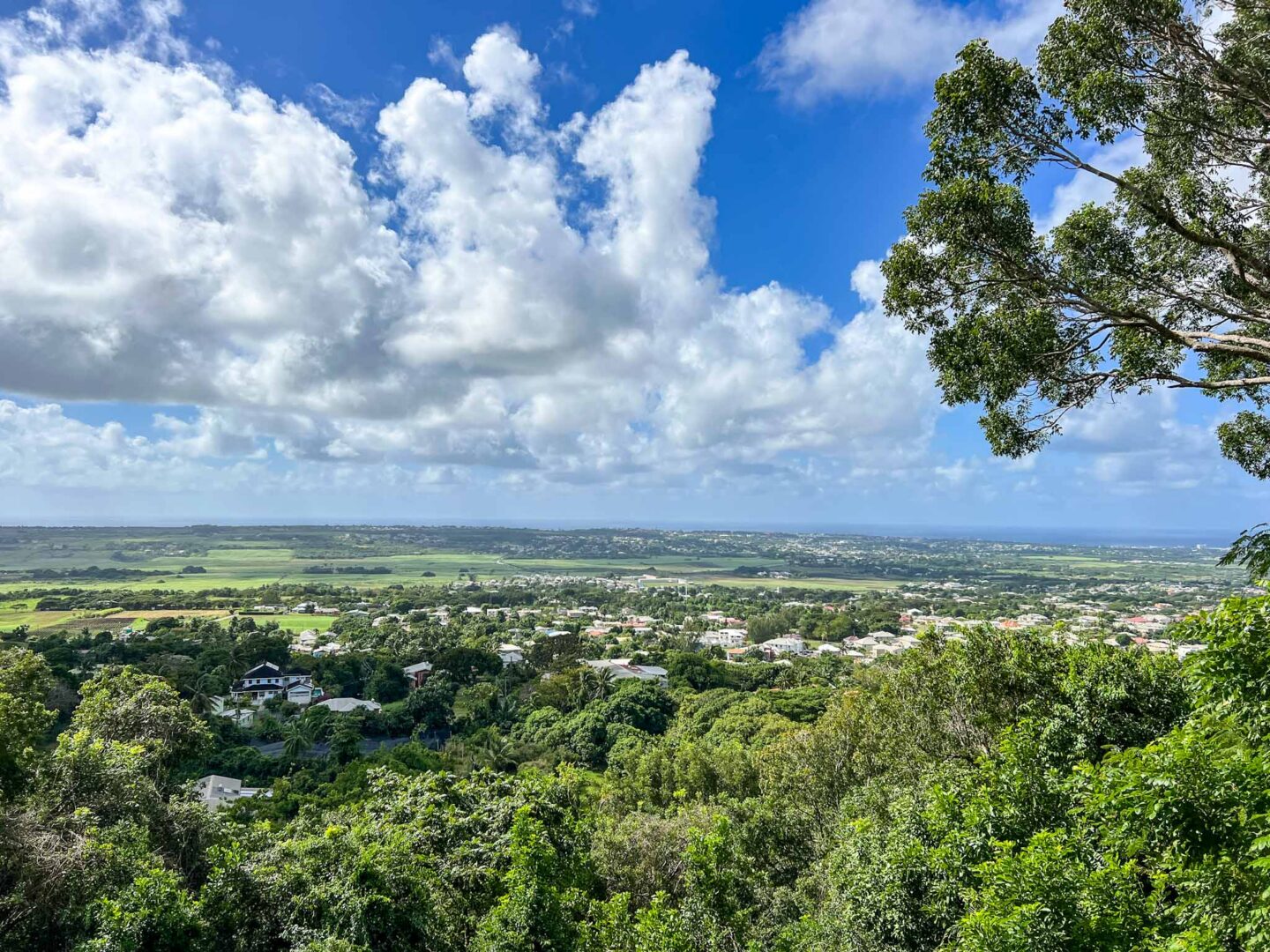 View over Barbados Countryside, best countries to visit in January